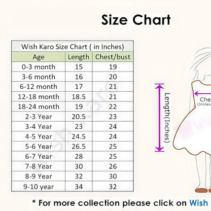14 Augist 2 pcs Girl Fancy Embroidered Shirt And Trouser Set